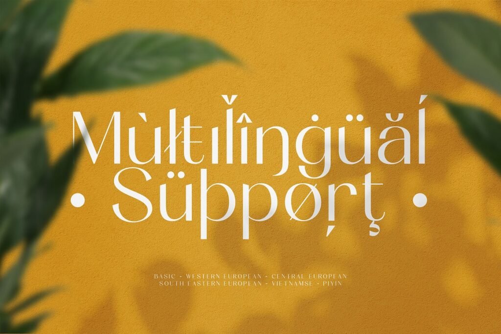 Elevate Your Designs with This Distinctive Font