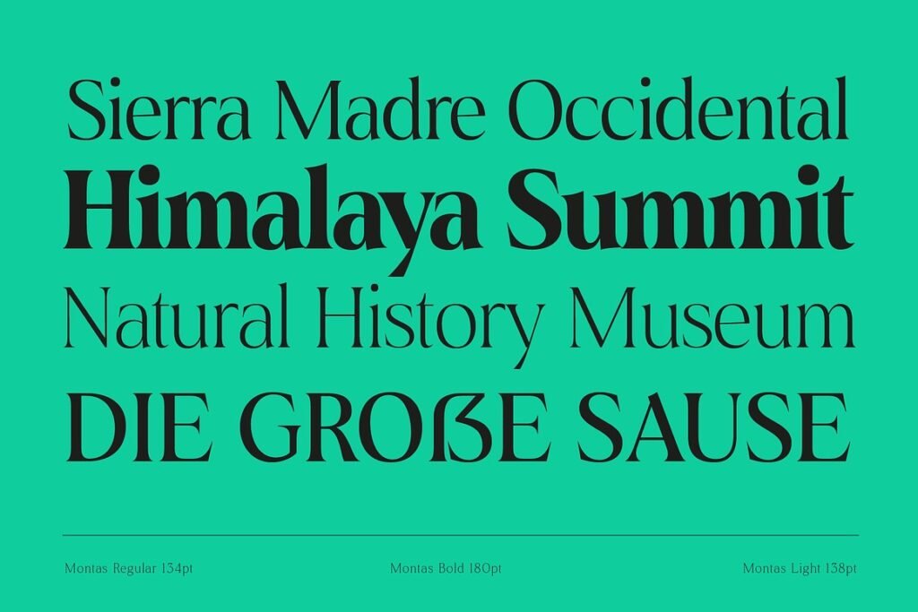 7 Captivating Fonts to Elevate Your Work