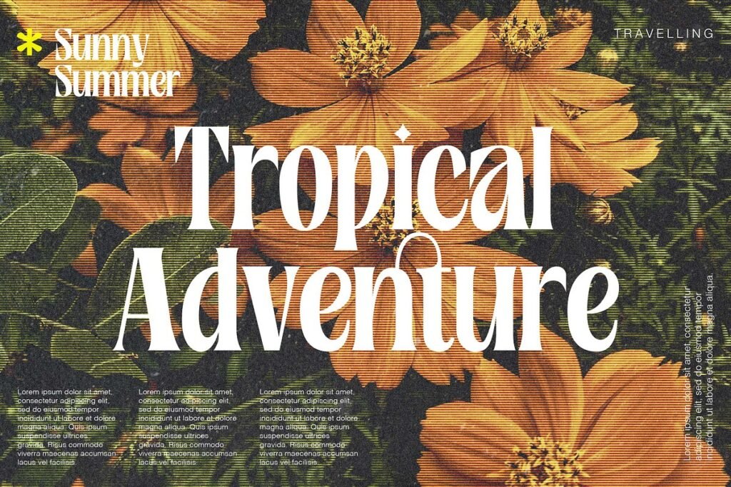 Rosamila Display Font 1