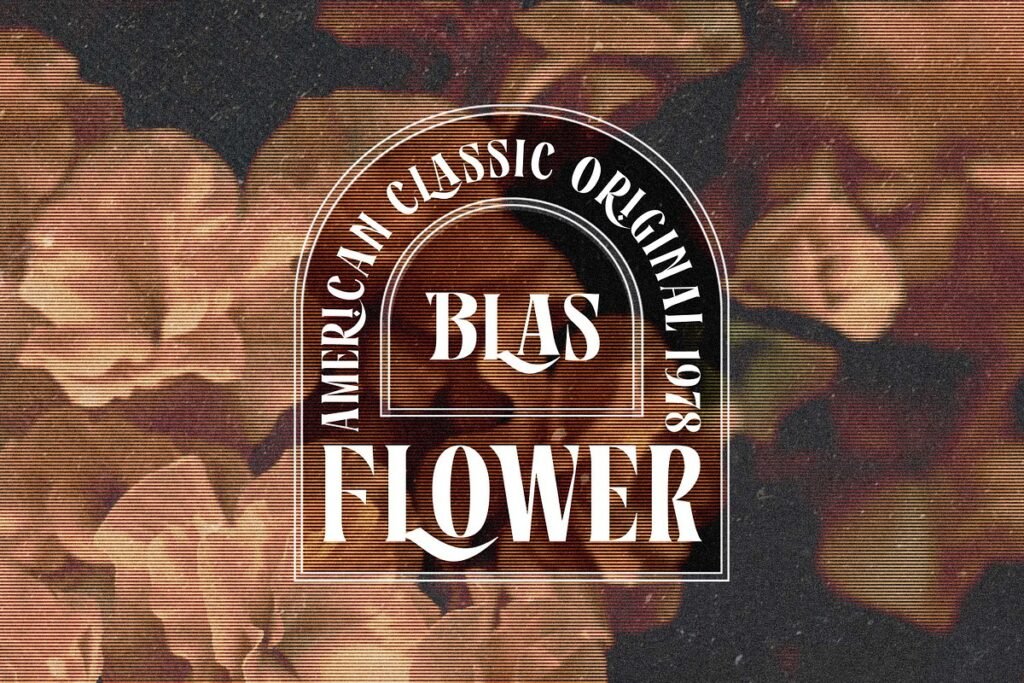 Rosamila Display Font 3