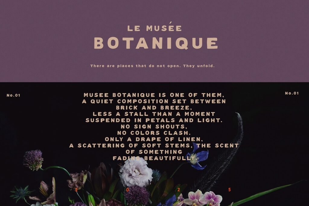 Discover Our Stunning Hand Lettered Font Collection