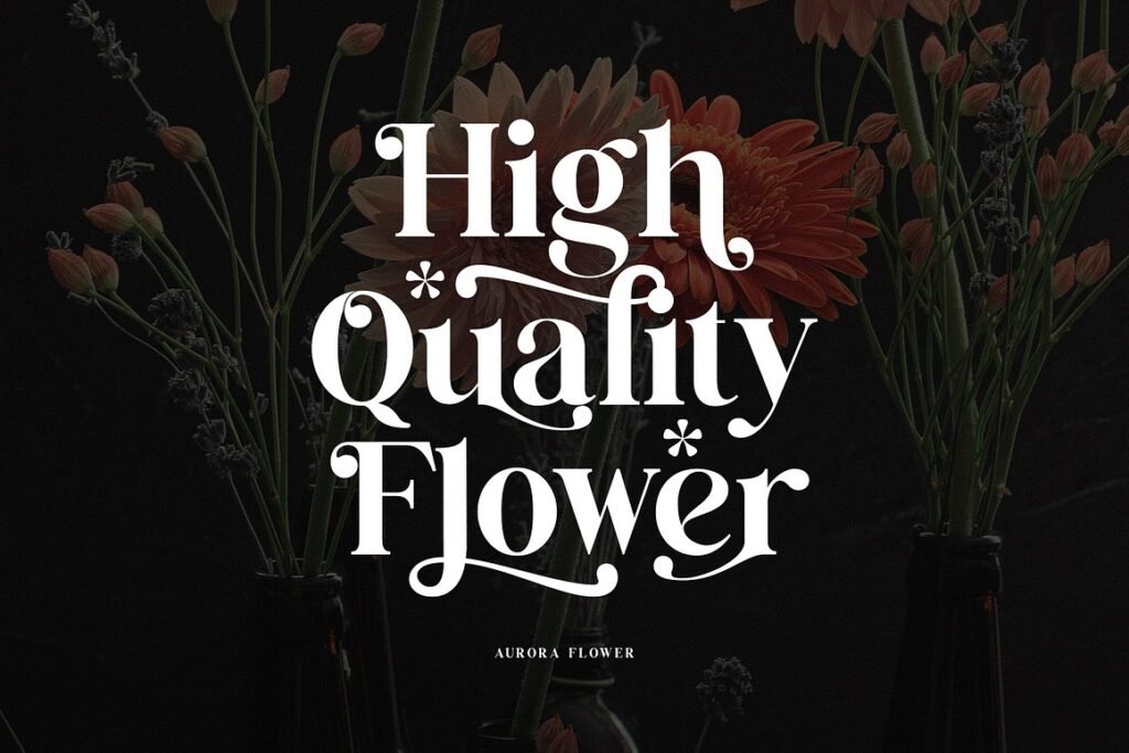 Belgin Elegant Ligature Timeless Typographic Style
