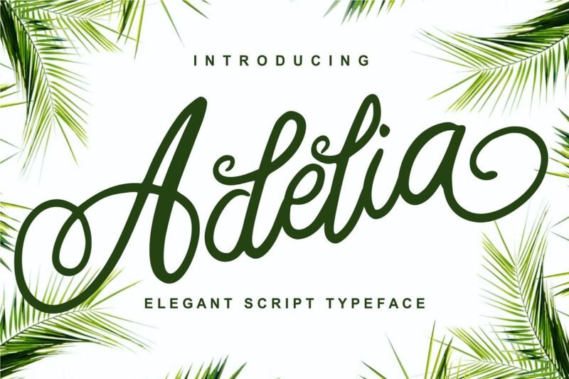 Adelia – Elegant Script Typeface