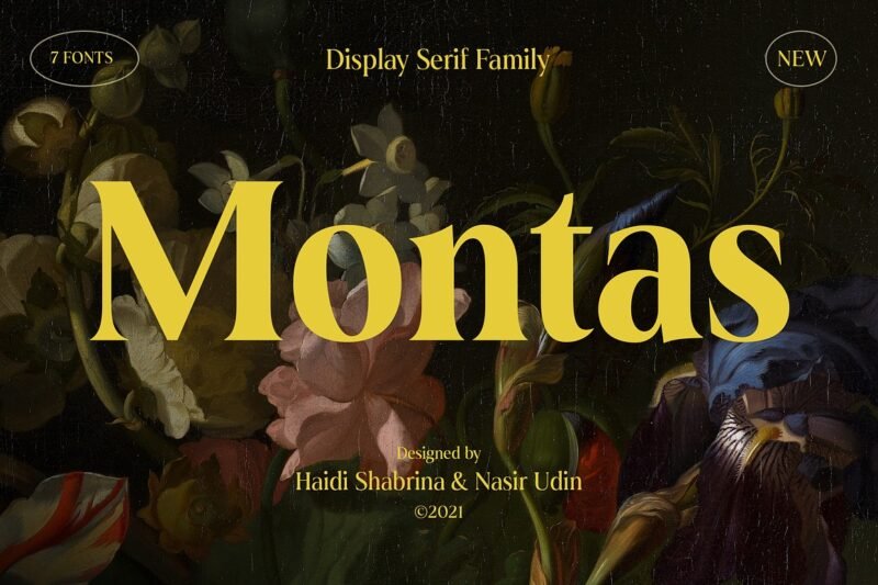 7 Captivating Fonts to Elevate Your Work