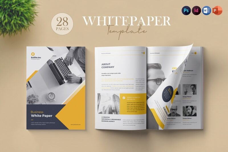 White Paper Brushes