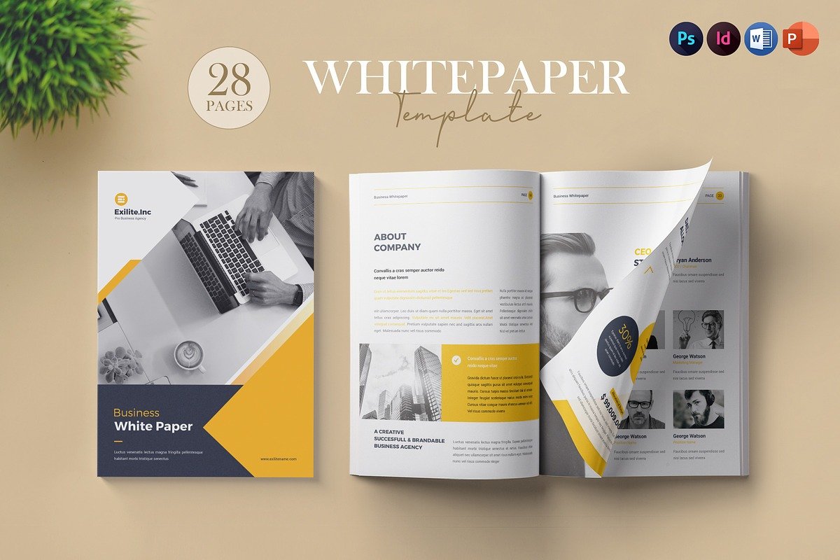 White Paper Brushes