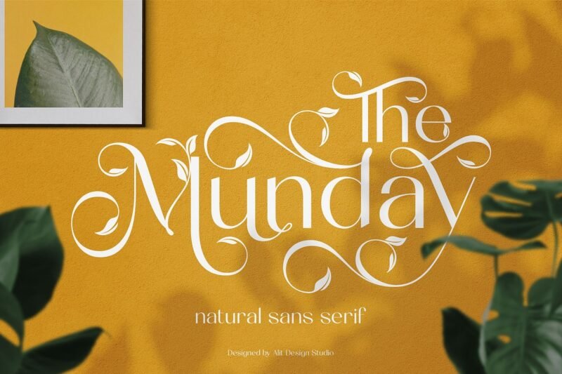 Elevate Your Designs with This Distinctive Font