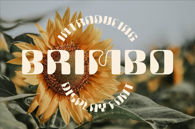 Brimbo Modern Display Font