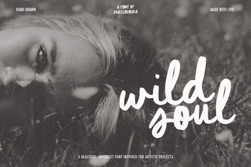 Unleash Your Creativity with the Script Brush Font Duo